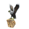 Handmade Wooden Eagle with Outstretched Wings on Natural Timber Base (40 cm)