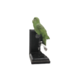 Perched Emerald Parakeet Bookend Figurine on Stepped Ebony Stand – Avian Tabletop Sculpture (12×20 cm)